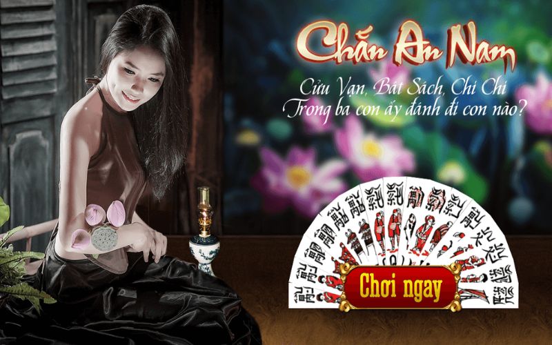 Bài chắn là gì?